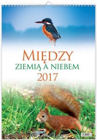 Kalendarz 2017 ścienny - Między ziemią a niebem [KALENDARZ]