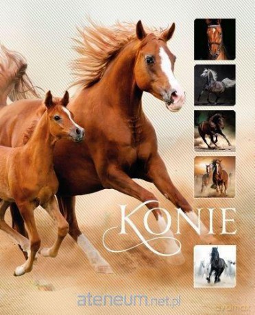 Konie - Ewa Walkowicz [KSIĄŻKA]