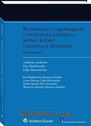 Konwencja o zapobieganiu i zwalczaniu przemocy [KSIĄŻKA]