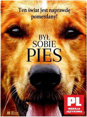 Był sobie pies (booklet) [DVD]