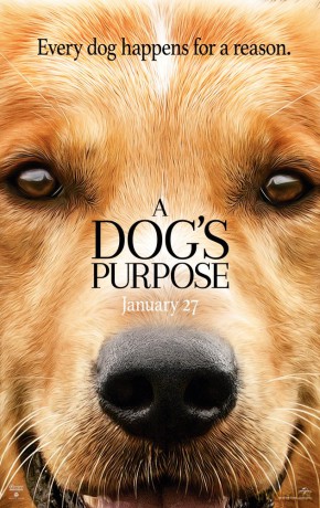 A Dog's Purpose soundtrack (Był sobie pies) [CD]