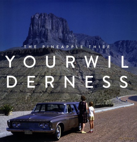 The Pineapple Thief: Your Wilderness [Winyl]