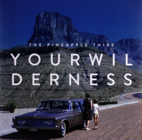 The Pineapple Thief: Your Wilderness [Winyl]