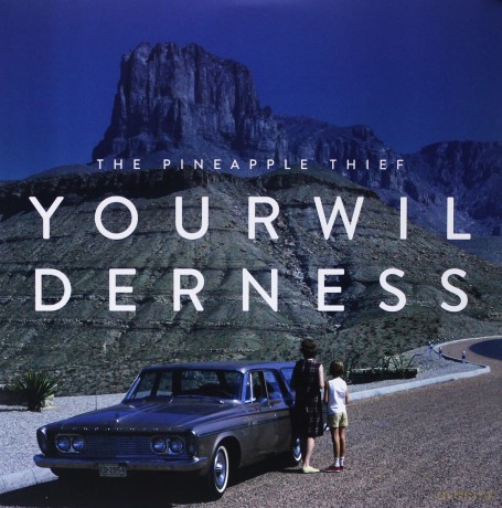 The Pineapple Thief: Your Wilderness [Winyl]