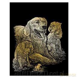 Wydrapywanka złota Golden Retriever