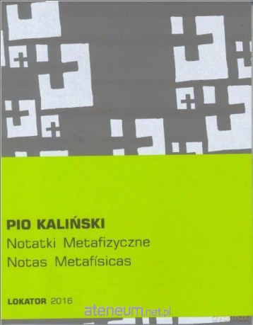 Notatki metafizyczne - Pio Kaliński [KSIĄŻKA]