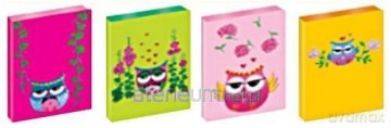 Notatnik midi Flowers&Owls MIX
