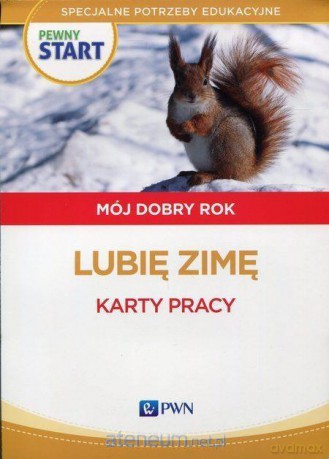 Pewny start. Mój dobry rok. Lubię zimę Karty pracy [KSIĄŻKA]
