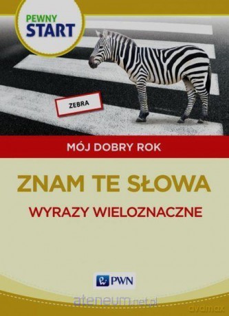 Pewny start. Mój dobry rok. Wyrazy wieloznaczne [KSIĄŻKA]