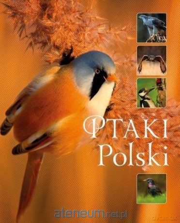 Ptaki Polski - Karolina Matoga [KSIĄŻKA]