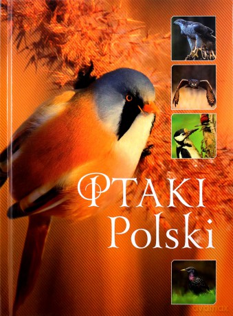Ptaki Polski - Karolina Matoga [KSIĄŻKA]