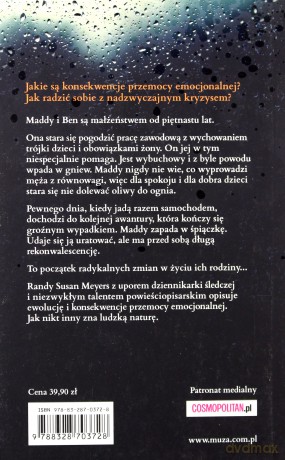 Wypadki małżeńskie - Randy Susan Meyers [KSIĄŻKA]