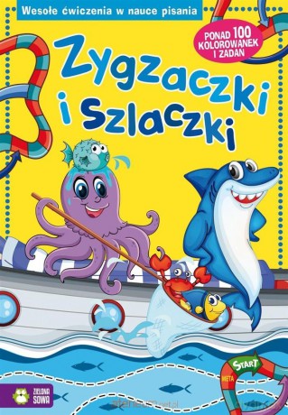 Zygzaczki i szlaczki [KSIĄŻKA]