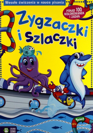 Zygzaczki i szlaczki [KSIĄŻKA]