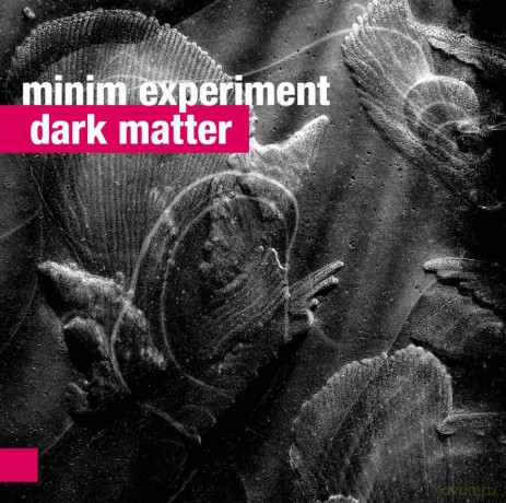 Minim Experiment: Dark Matter [CD]