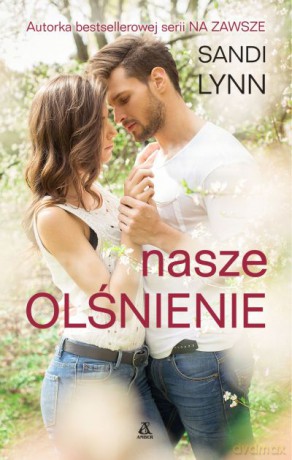 Nasze olśnienie - Sandi Lynn [KSIĄŻKA]
