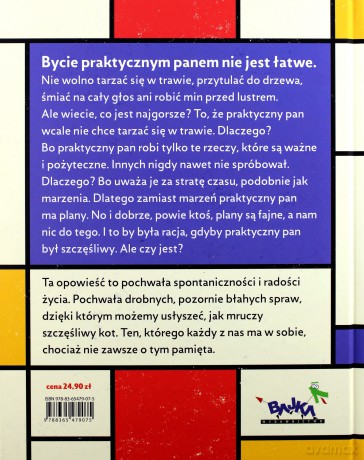 Praktyczny pan - Roksana Jędrzejewska - Wróbel (twarda) [KSIĄŻKA]