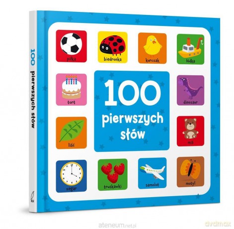 100 pierwszych słów [KSIĄŻKA]