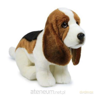 Basset 30 cm