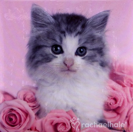Bloczek notesowy 9x9 Rachael Hale