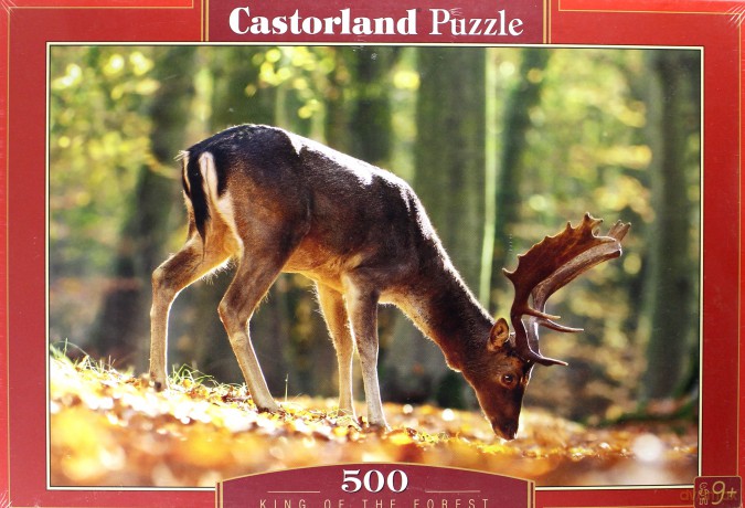 CASTORLAND 500 el. Król lasu [PUZZLE]