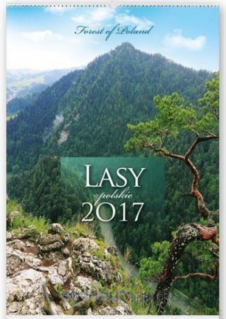 Kalendarz 2017 Ścienny Reklam. Lasy polskie [KALENDARZ]