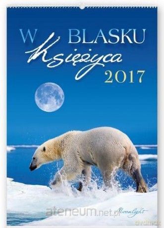Kalendarz 2017 Ścienny Reklam. W blasku Księżyca [KALENDARZ]