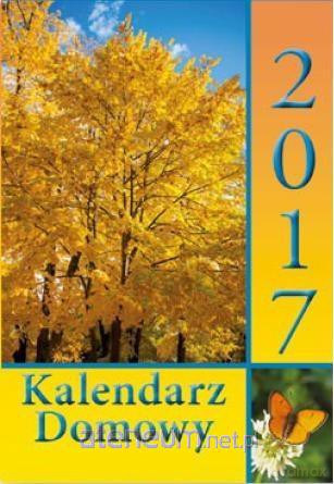 Kalendarz 2017 Zdzierak. Domowy [KALENDARZ]