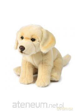 Kremowy Labrador 26 cm