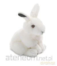 Królik polarny 19 cm