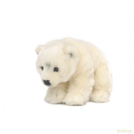 Niedźwiedź polarny 23 cm