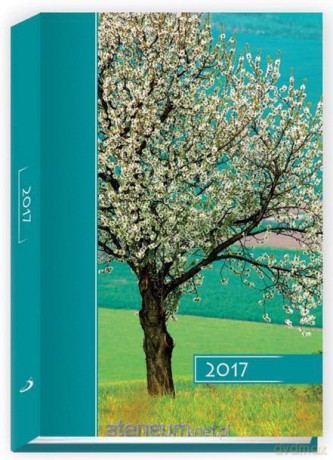 Terminarz 2017 B6 kolor - drzewo [KALENDARZ]
