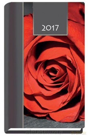 Terminarz 2017 Kolor tygodniowy - róża [KALENDARZ]