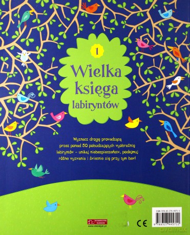 Wielka księga labiryntów 1 - Kirsteen Robson [KSIĄŻKA]