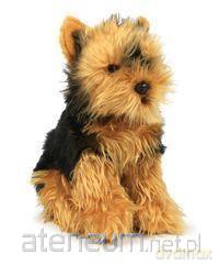 Yorkshire Terrier 26 cm