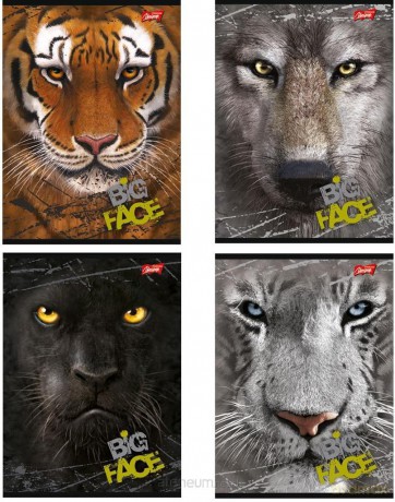 Zeszyt A5/60K linia The Mountain Big Face (10 szt)