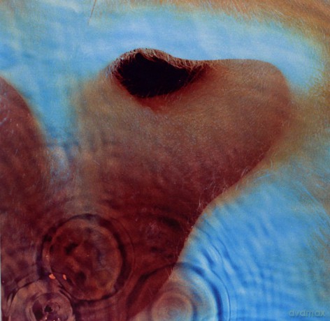 Pink Floyd: Meddle [Winyl]
