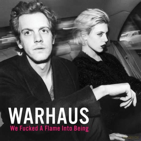 Warhaus: We Fucked A Flame Into Being [Winyl]