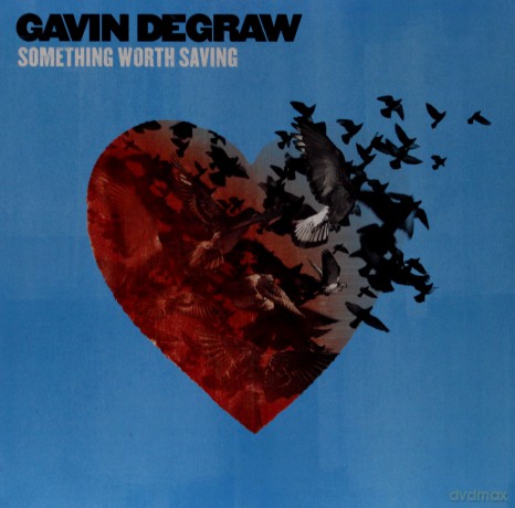 Gavin DeGraw: Something Worth Saving [Winyl]