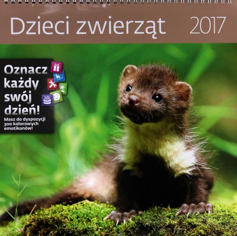 Kalendarz 2017 Dzieci zwierząt [KALENDARZ]