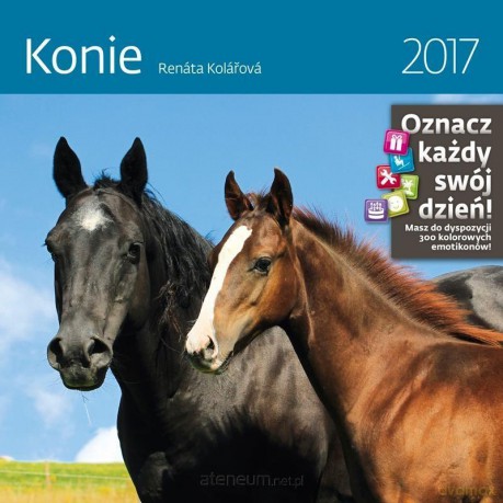 Kalendarz 2017 Konie [KALENDARZ]