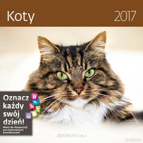 Kalendarz 2017 Koty [KALENDARZ]
