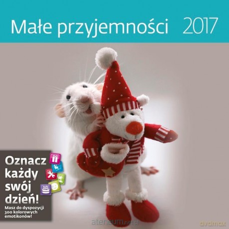 Kalendarz 2017 Małe przyjemności [KALENDARZ]