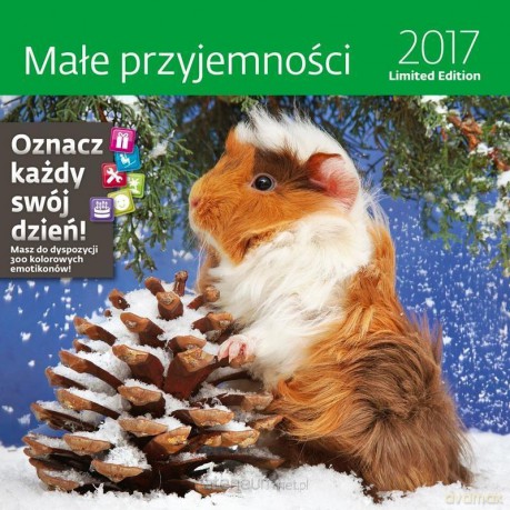 Kalendarz 2017 Małe przyjemności limited edition [KALENDARZ]