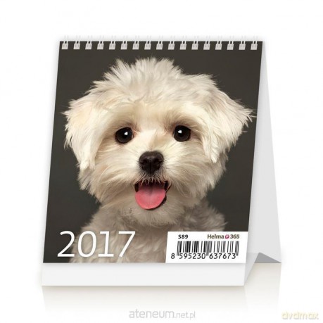 Kalendarz 2017 Mini Puppies [KALENDARZ]