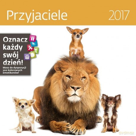 Kalendarz 2017 Przyjaciele [KALENDARZ]