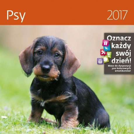 Kalendarz 2017 Psy [KALENDARZ]