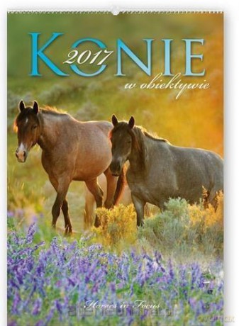 Kalendarz 2017 Reklamowy. Konie w obiektywie [KALENDARZ]