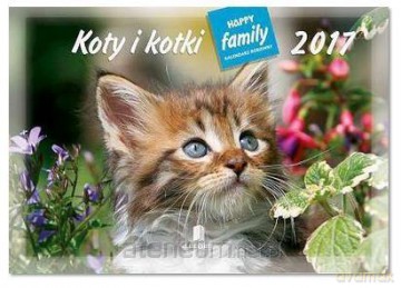 Kalendarz 2017 Rodzinny. Koty i kotki [KALENDARZ]