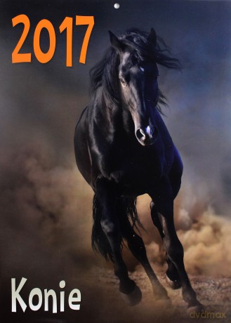 Kalendarz 2017 Ścienny - Konie [KALENDARZ]